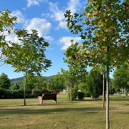 Vila Cu Mesteceni Câmpina Eksteriør bilde